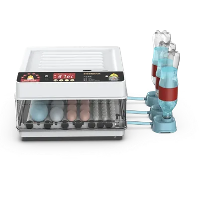 Deorydd Wyau Cyw Iâr Mini 130